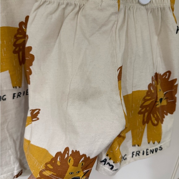 Zara Lion Amazing Friends Set 4T - Picture 7 of 8